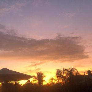 Meet your Posher, Alissa